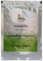 Punarnava Powder USDA Certified Organic